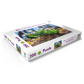 Alternative Darstellung des Puzzle-Motivs Schneeglöckchen (Galanthus nivalis), Frühlingsblumen im Wald – Puzzleteile: 200
