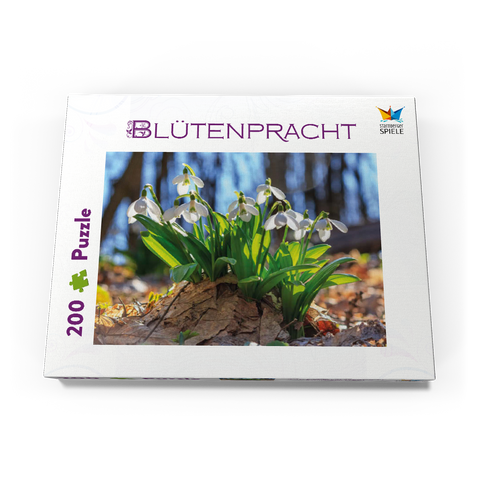Schneeglöckchen (Galanthus nivalis), Frühlingsblumen im Wald 200 Puzzle Schachtel Ansicht3