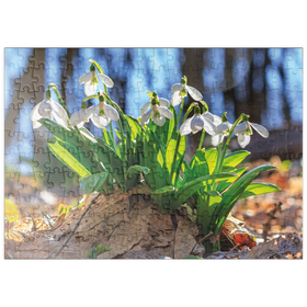 Darstellung des Puzzle-Motivs Schneeglöckchen (Galanthus nivalis), Frühlingsblumen im Wald – Puzzleteile: 200