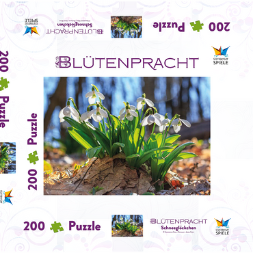 Schneeglöckchen (Galanthus nivalis), Frühlingsblumen im Wald 200 Puzzle Schachtel 3D Modell