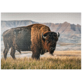 Darstellung des Puzzle-Motivs Amerikanischer Bison in South Dakota – Puzzleteile: 1000
