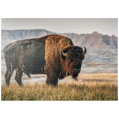puzzleplate Amerikanischer Bison in South Dakota 1000 Puzzle