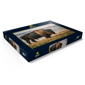 Darstellung des Puzzle Motivs Amerikanischer Bison in South Dakota - Puzzleteile: 100