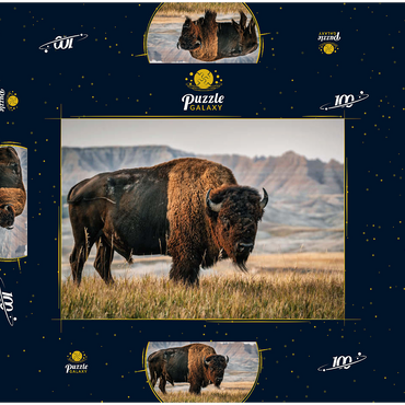 Amerikanischer Bison in South Dakota 100 Puzzle Schachtel 3D Modell