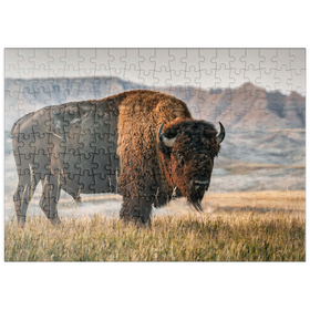 Darstellung des Puzzle-Motivs Amerikanischer Bison in South Dakota – Puzzleteile: 200