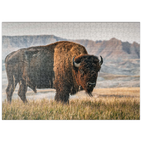 puzzleplate Amerikanischer Bison in South Dakota 500 Puzzle