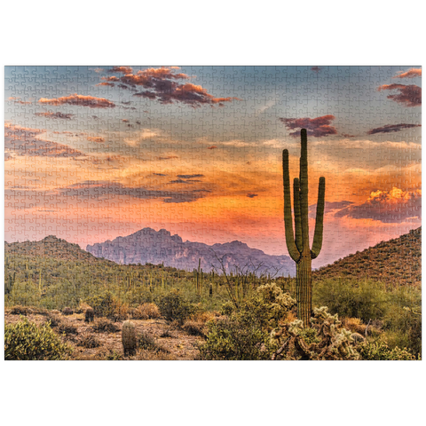 puzzleplate Sonnenuntergang in der Sonoran-Wüste bei Phoenix, Arizona 1000 Puzzle