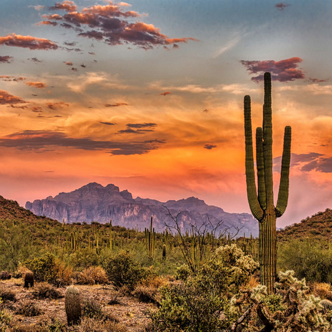 Sonnenuntergang in der Sonoran-Wüste bei Phoenix, Arizona 1000 Puzzle 3D Modell