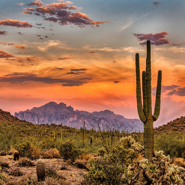 Sonnenuntergang in der Sonoran-Wüste bei Phoenix, Arizona 100 Puzzle 3D Modell