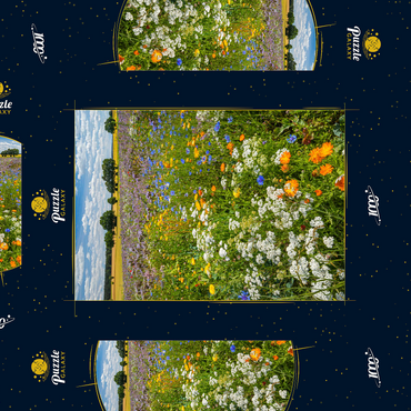 Sommerliche Blumenwiese bei Eichstätt 1000 Puzzle Schachtel 3D Modell