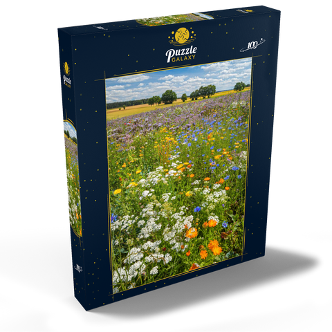 Sommerliche Blumenwiese bei Eichstätt 100 Puzzle Schachtel Ansicht2
