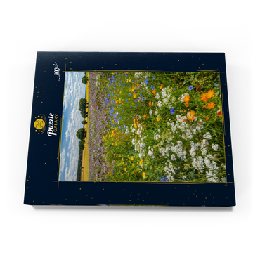 Sommerliche Blumenwiese bei Eichstätt 100 Puzzle Schachtel Ansicht3