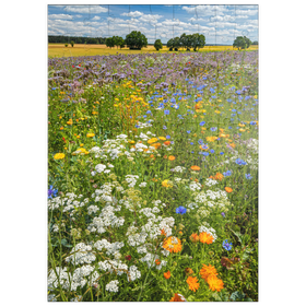 Darstellung des Puzzle Motivs Sommerliche Blumenwiese bei Eichstätt - Puzzleteile: 100