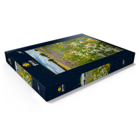 Alternative Darstellung des Puzzle-Motivs Sommerliche Blumenwiese bei Eichstätt – Puzzleteile: 200
