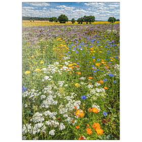 Darstellung des Puzzle-Motivs Sommerliche Blumenwiese bei Eichstätt – Puzzleteile: 200