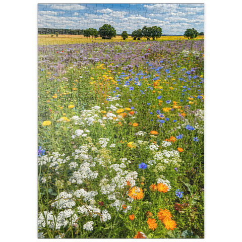 puzzleplate Sommerliche Blumenwiese bei Eichstätt 500 Puzzle
