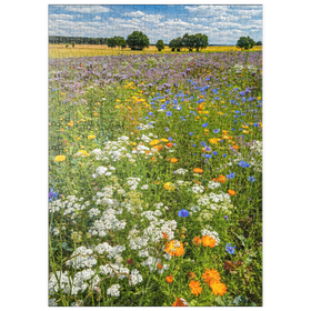 Darstellung des Puzzle Motivs Sommerliche Blumenwiese bei Eichstätt - Puzzleteile: 500