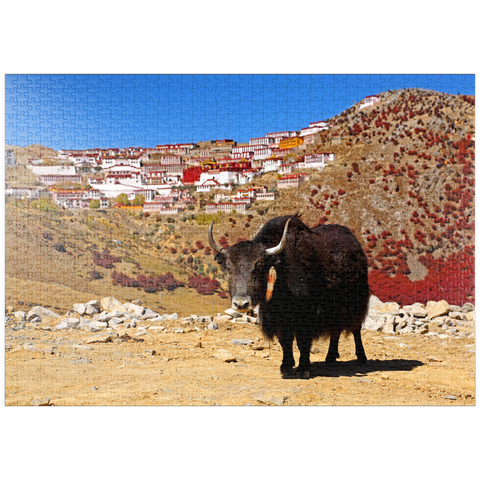 puzzleplate Yak mit Blick zum Ganden Kloster am Berg Drog Riboche bei Tagtse Dzong, Tibet, China 1000 Puzzle