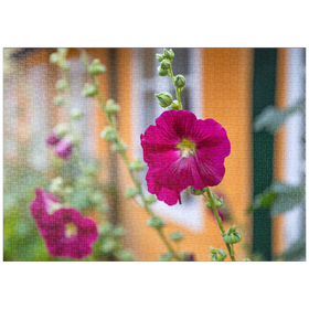 Darstellung des Puzzle Motivs Stockrosen an einem Haus in der Altstadt - Puzzleteile: 1000