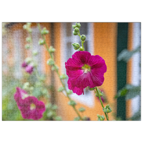 Darstellung des Puzzle Motivs Stockrosen an einem Haus in der Altstadt - Puzzleteile: 500
