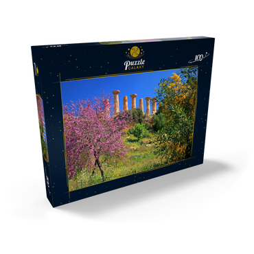 Blühende Bäume mit dem Heraklestempel im Tal der Tempel - Italien 100 Puzzle Schachtel Ansicht2