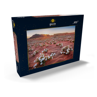 Die Wüste blüht, Blumen im Sand im Sonnenaufgang, Wadi Rum, Gouvernement Aqaba, Jordanien 1000 Puzzle Schachtel Ansicht2