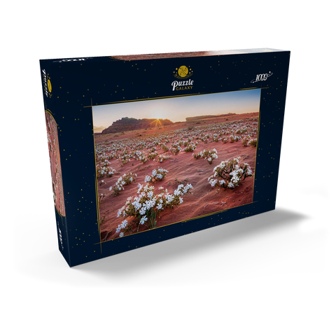 Die Wüste blüht, Blumen im Sand im Sonnenaufgang, Wadi Rum, Gouvernement Aqaba, Jordanien 1000 Puzzle Schachtel Ansicht2