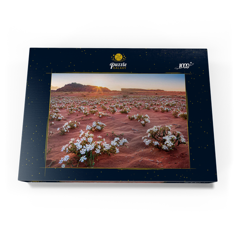 Die Wüste blüht, Blumen im Sand im Sonnenaufgang, Wadi Rum, Gouvernement Aqaba, Jordanien 1000 Puzzle Schachtel Ansicht3