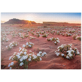 Darstellung des Puzzle-Motivs Die Wüste blüht, Blumen im Sand im Sonnenaufgang, Wadi Rum – Puzzleteile: 1000