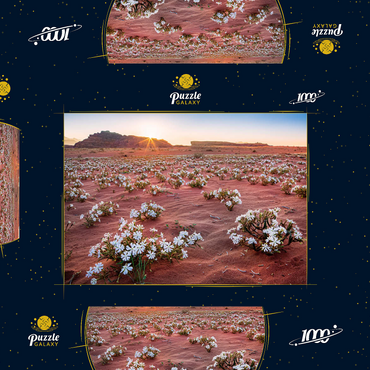 Die Wüste blüht, Blumen im Sand im Sonnenaufgang, Wadi Rum, Gouvernement Aqaba, Jordanien 1000 Puzzle Schachtel 3D Modell
