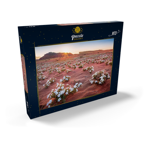 Die Wüste blüht, Blumen im Sand im Sonnenaufgang, Wadi Rum, Gouvernement Aqaba, Jordanien 100 Puzzle Schachtel Ansicht2
