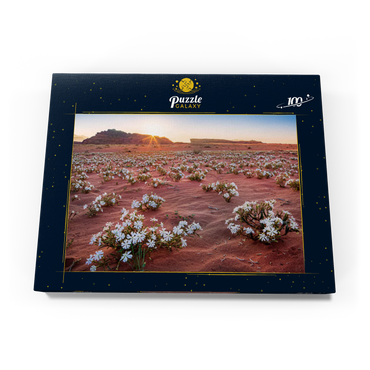 Die Wüste blüht, Blumen im Sand im Sonnenaufgang, Wadi Rum, Gouvernement Aqaba, Jordanien 100 Puzzle Schachtel Ansicht3