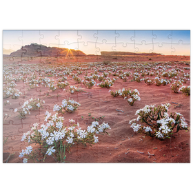 Darstellung des Puzzle Motivs Die Wüste blüht, Blumen im Sand im Sonnenaufgang, Wadi Rum - Puzzleteile: 100