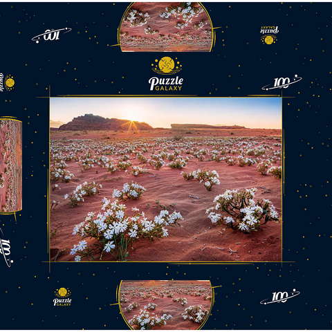Die Wüste blüht, Blumen im Sand im Sonnenaufgang, Wadi Rum, Gouvernement Aqaba, Jordanien 100 Puzzle Schachtel 3D Modell