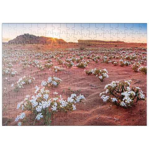 puzzleplate Die Wüste blüht, Blumen im Sand im Sonnenaufgang, Wadi Rum, Gouvernement Aqaba, Jordanien 200 Puzzle