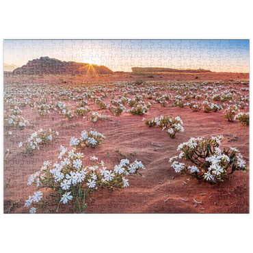 puzzleplate Die Wüste blüht, Blumen im Sand im Sonnenaufgang, Wadi Rum, Gouvernement Aqaba, Jordanien 500 Puzzle
