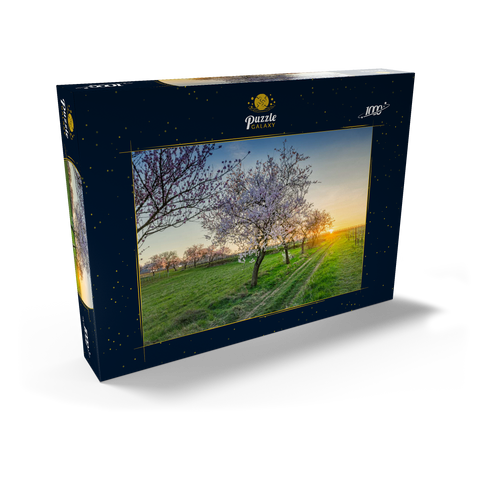 Blühende Mandelbäume am Geilweilerhof 1000 Puzzle Schachtel Ansicht2