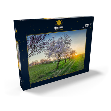Blühende Mandelbäume am Geilweilerhof 100 Puzzle Schachtel Ansicht2