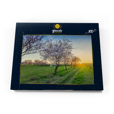 Blühende Mandelbäume am Geilweilerhof 100 Puzzle Schachtel Ansicht3
