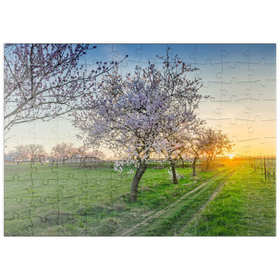 Darstellung des Puzzle Motivs Blühende Mandelbäume am Geilweilerhof - Puzzleteile: 100