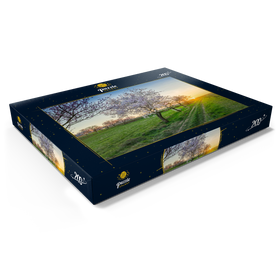 Darstellung des Puzzle Motivs Blühende Mandelbäume am Geilweilerhof - Puzzleteile: 200