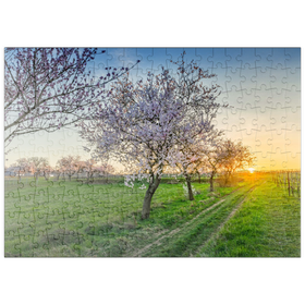Darstellung des Puzzle-Motivs Blühende Mandelbäume am Geilweilerhof – Puzzleteile: 200