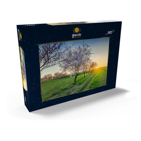 Blühende Mandelbäume am Geilweilerhof 500 Puzzle Schachtel Ansicht2