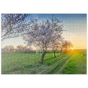 Darstellung des Puzzle-Motivs Blühende Mandelbäume am Geilweilerhof – Puzzleteile: 500