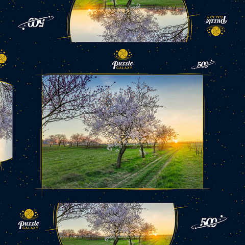 Blühende Mandelbäume am Geilweilerhof 500 Puzzle Schachtel 3D Modell