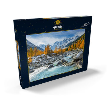 Fluss Ova im Val Mortertsch mit der Bernina Gruppe 100 Puzzle Schachtel Ansicht2