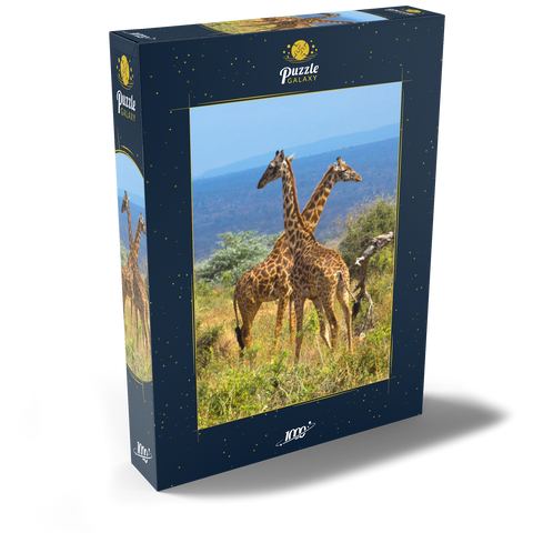 Amboseli-Nationalpark, Kenia, Giraffen (Giraffa camelopardalis) 1000 Puzzle Schachtel Ansicht2