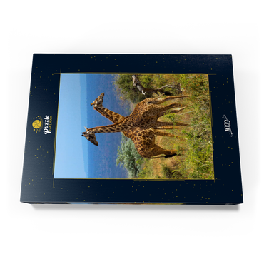 Amboseli-Nationalpark, Kenia, Giraffen (Giraffa camelopardalis) 1000 Puzzle Schachtel Ansicht3