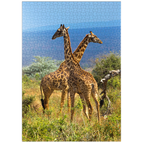 Darstellung des Puzzle-Motivs Amboseli-Nationalpark, Kenia, Giraffen (Giraffa camelopardalis) – Puzzleteile: 1000