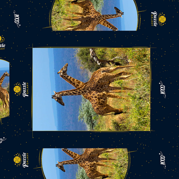 Amboseli-Nationalpark, Kenia, Giraffen (Giraffa camelopardalis) 1000 Puzzle Schachtel 3D Modell